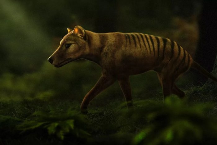 Es multimillonario y dirige una empresa que aspira a revivir al mamut lanudo y otras especies extintas – EL PAÍS Uruguay