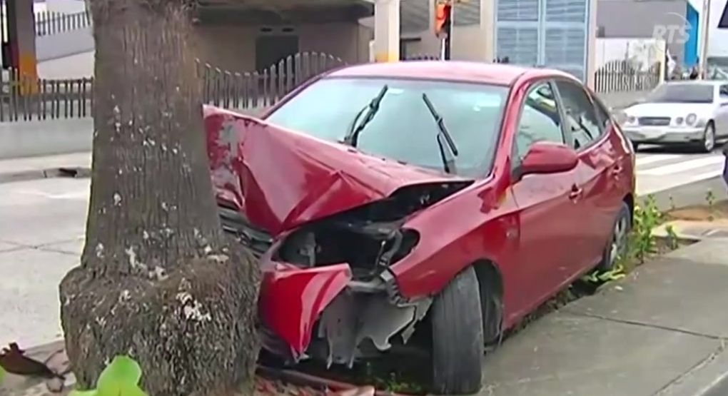 Conductor choca contra palmera, destroza su auto y abandona a ...